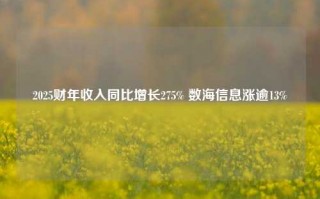 2025财年收入同比增长275% 数海信息涨逾13%