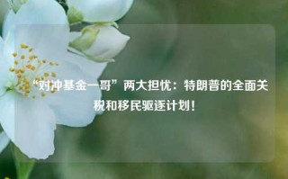 “对冲基金一哥”两大担忧：特朗普的全面关税和移民驱逐计划！