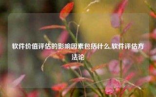 软件价值评估的影响因素包括什么,软件评估方法论