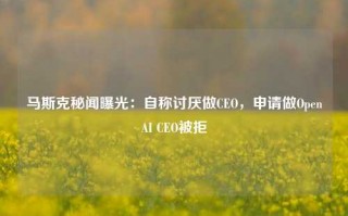 马斯克秘闻曝光：自称讨厌做CEO，申请做OpenAI CEO被拒