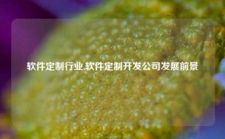 软件定制行业,软件定制开发公司发展前景