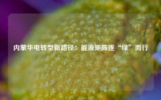 内蒙华电转型新路径：能源矩阵逐“绿”而行