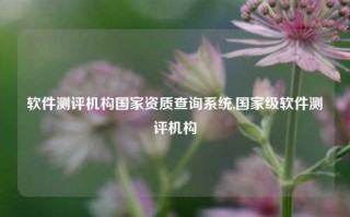 软件测评机构国家资质查询系统,国家级软件测评机构