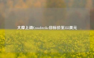 大摩上调Crowdstrike目标价至355美元