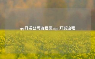 app开发公司流程图,app 开发流程