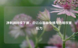 净利润持续下滑，白云山面临业绩与合规双重压力