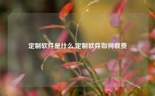 定制软件是什么,定制软件如何收费