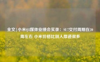 全文|小米Q3媒体业绩会实录：SU7交付周期在20周左右 小米价格比别人厚道很多