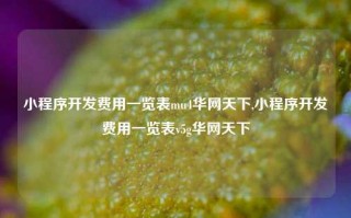 小程序开发费用一览表mu4华网天下,小程序开发费用一览表v5g华网天下