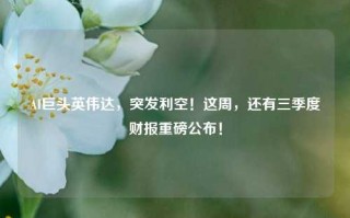 AI巨头英伟达，突发利空！这周，还有三季度财报重磅公布！