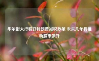 华尔街大行看好特朗普减税政策 未来几年将推动股市飙升