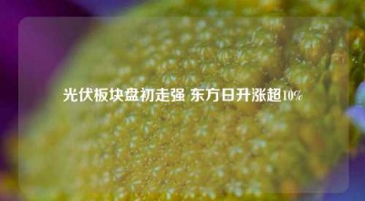 光伏板块盘初走强 东方日升涨超10%