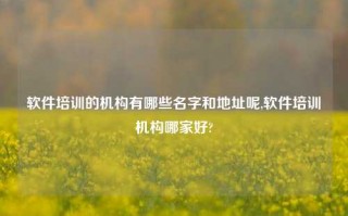 软件培训的机构有哪些名字和地址呢,软件培训机构哪家好?