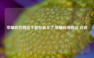 荣耀软件商店下载安装不了,荣耀应用商店 安装