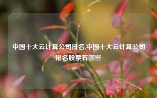 中国十大云计算公司排名,中国十大云计算公司排名股票有哪些