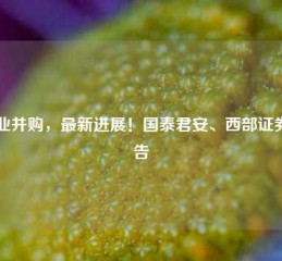 券业并购，最新进展！国泰君安、西部证券公告