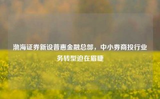 渤海证券新设普惠金融总部，中小券商投行业务转型迫在眉睫