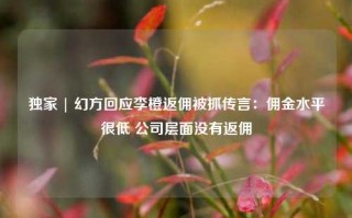 独家 | 幻方回应李橙返佣被抓传言：佣金水平很低 公司层面没有返佣