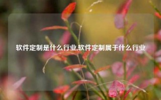 软件定制是什么行业,软件定制属于什么行业