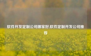 软件开发定制公司哪家好,软件定制开发公司推荐