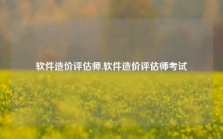 软件造价评估师,软件造价评估师考试