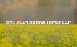 软件培训怎么样,灵加教育设计软件培训怎么样