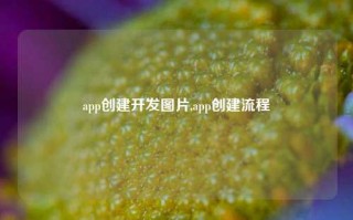 app创建开发图片,app创建流程