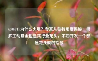 A500ETF为什么火爆？专家从独特角度揭秘：很多主动基金也是买行业龙头，不如开发一个都是龙头股的指数