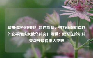 乌东情况很困难！泽连斯基：努力确保明年以外交手段结束俄乌冲突！俄媒：俄军在哈尔科夫战线取得重大突破