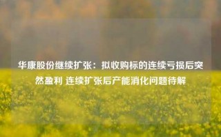 华康股份继续扩张：拟收购标的连续亏损后突然盈利 连续扩张后产能消化问题待解