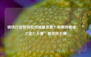 钢铁行业如何应对减量发展？中钢协姜维：“三定三不要”要坚持不懈