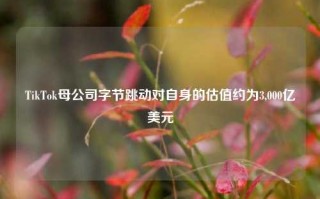 TikTok母公司字节跳动对自身的估值约为3,000亿美元