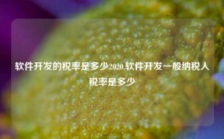 软件开发的税率是多少2020,软件开发一般纳税人税率是多少