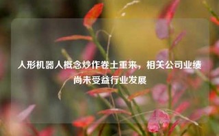 人形机器人概念炒作卷土重来，相关公司业绩尚未受益行业发展