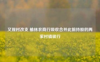 又现村改支 榆林农商行吸收合并此前持股的两家村镇银行