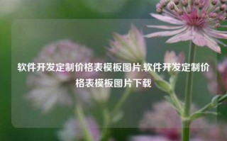 软件开发定制价格表模板图片,软件开发定制价格表模板图片下载