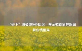 “吞下”诚芯微100%股份，希荻微欲借并购破解业绩困局