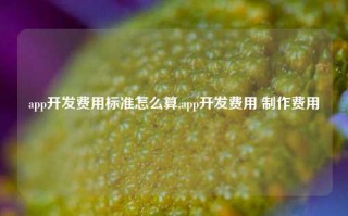 app开发费用标准怎么算,app开发费用 制作费用