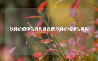 软件价值评估机构排名榜,软件价格评估机构