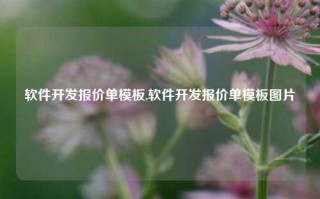 软件开发报价单模板,软件开发报价单模板图片