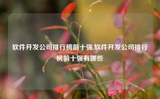 软件开发公司排行榜前十强,软件开发公司排行榜前十强有哪些