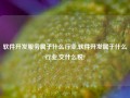 软件开发服务属于什么行业,软件开发属于什么行业,交什么税?