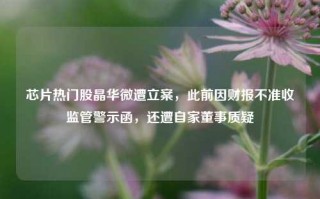 芯片热门股晶华微遭立案，此前因财报不准收监管警示函，还遭自家董事质疑