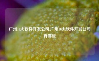 广州10大软件开发公司,广州10大软件开发公司有哪些