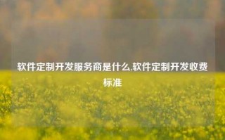 软件定制开发服务商是什么,软件定制开发收费标准