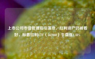 上市公司市值管理指引落地，红利资产仍被看好，标普红利ETF（562060）午盘涨1.48%