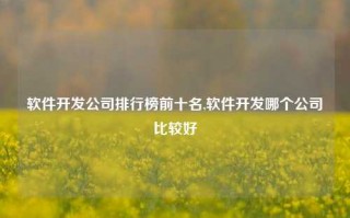 软件开发公司排行榜前十名,软件开发哪个公司比较好