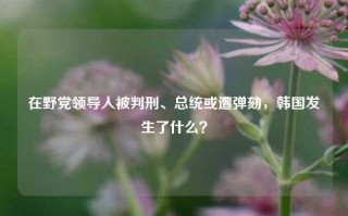 在野党领导人被判刑、总统或遭弹劾，韩国发生了什么？