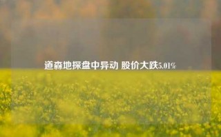 道森地探盘中异动 股价大跌5.01%