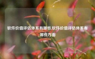 软件价值评估体系有哪些,软件价值评估体系有哪些方面